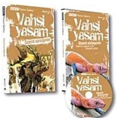  Vahşi Yaşamın Gizemli Yılanı: Wagtail Çırtlısı Bir Balıkçı mı?